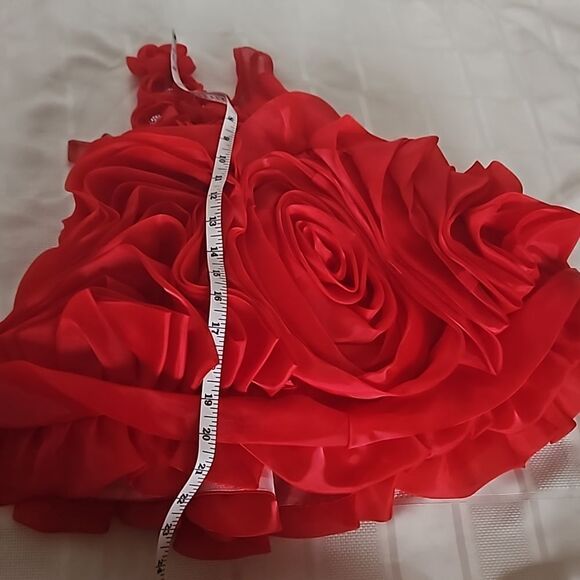 Toddler Girl's Custom-Made Rose Petals Chiffon Dress With Petticoat Red 12-Month - Picture 11 of 16